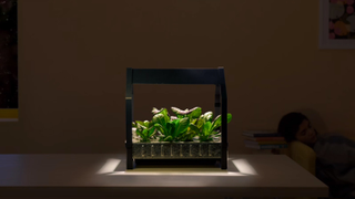 IKEA Keeps Getting Weirder, Now Sells Hydroponic Gardens